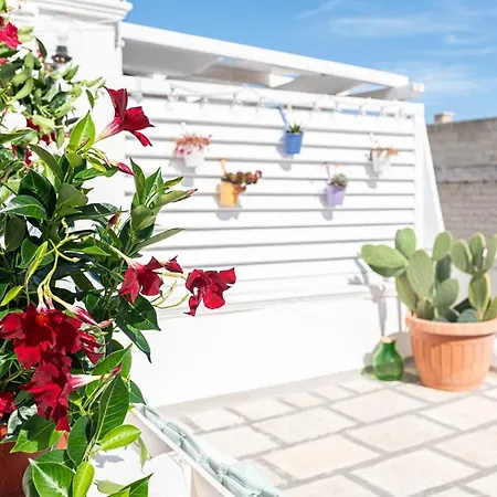 Mira - Casa Di Mare 4* 滨海波利尼亚诺